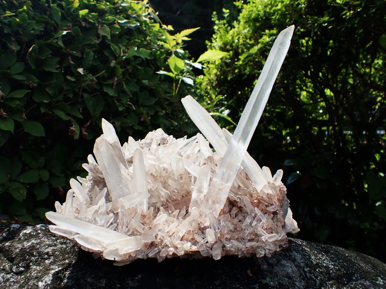 日本翡翠情報センター：関連書籍（BOOK）