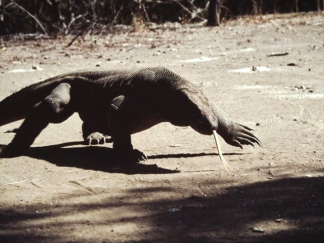 日本翡翠情報センター：関連書籍（BOOK）